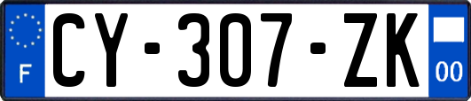 CY-307-ZK