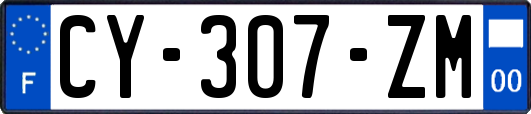 CY-307-ZM