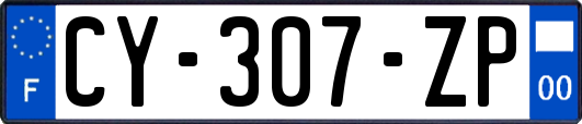 CY-307-ZP