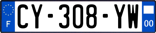 CY-308-YW