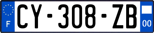 CY-308-ZB