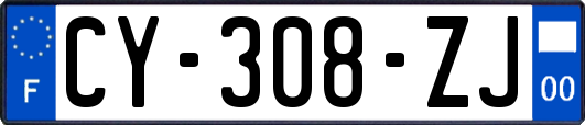 CY-308-ZJ