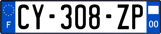 CY-308-ZP