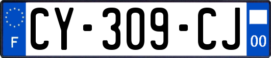 CY-309-CJ