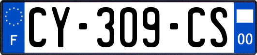 CY-309-CS