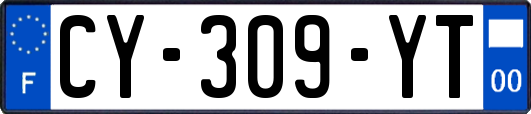 CY-309-YT