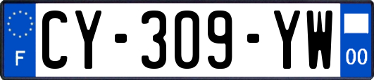 CY-309-YW