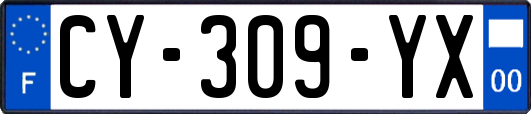 CY-309-YX