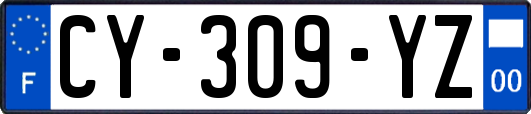 CY-309-YZ