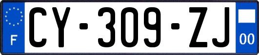 CY-309-ZJ