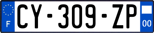 CY-309-ZP