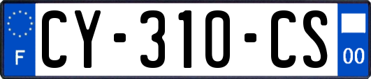 CY-310-CS