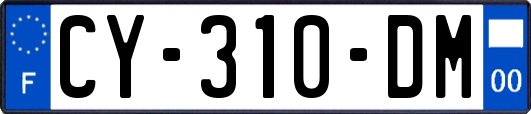 CY-310-DM