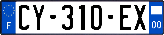 CY-310-EX