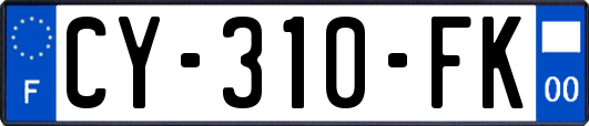 CY-310-FK