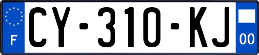 CY-310-KJ