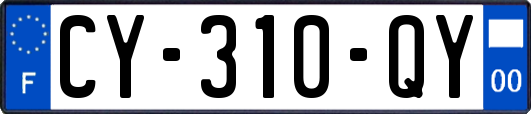 CY-310-QY