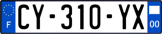 CY-310-YX