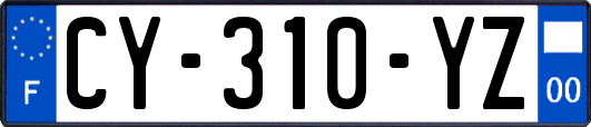 CY-310-YZ