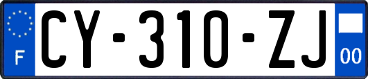 CY-310-ZJ