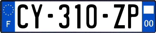 CY-310-ZP
