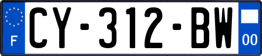 CY-312-BW