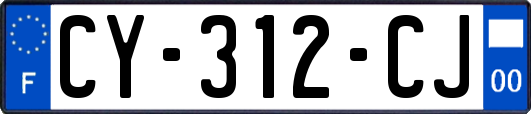 CY-312-CJ