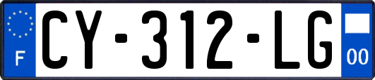 CY-312-LG