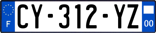 CY-312-YZ