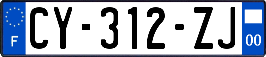 CY-312-ZJ