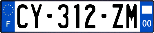 CY-312-ZM