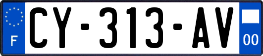 CY-313-AV