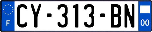 CY-313-BN