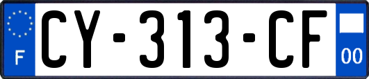 CY-313-CF