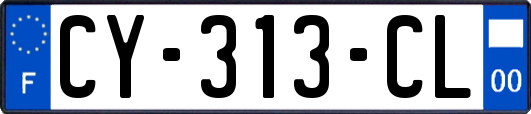 CY-313-CL