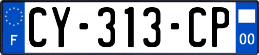 CY-313-CP