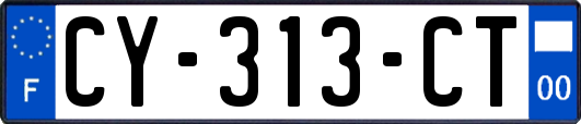 CY-313-CT
