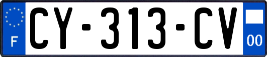 CY-313-CV