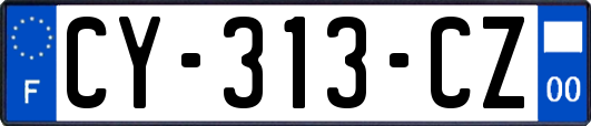 CY-313-CZ