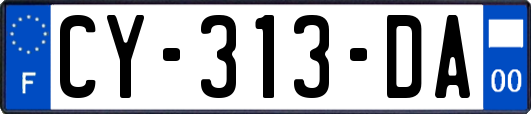 CY-313-DA