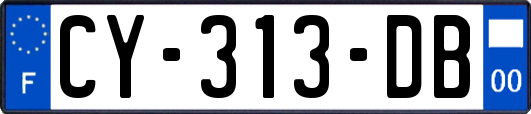CY-313-DB