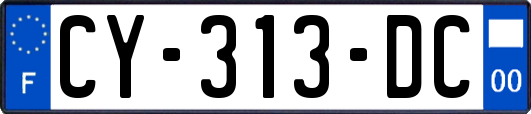 CY-313-DC
