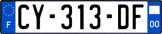CY-313-DF