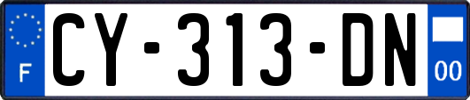 CY-313-DN