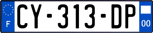 CY-313-DP