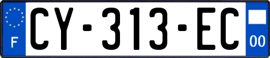 CY-313-EC