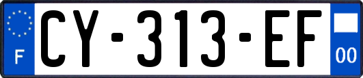 CY-313-EF