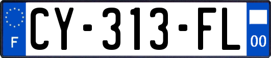 CY-313-FL