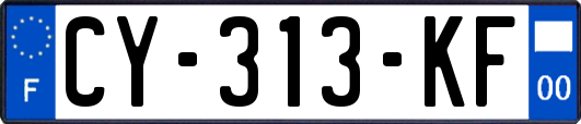 CY-313-KF