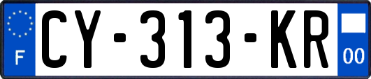 CY-313-KR